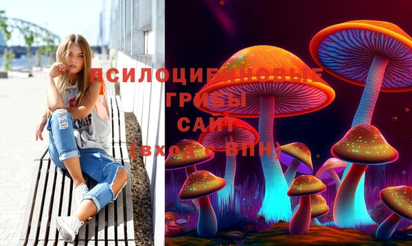 мдпв Сафоново