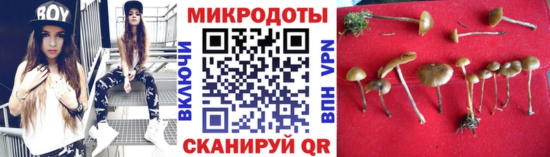 закладки Кинешма кракен ссылки Галлюциногенные грибы Cubensis