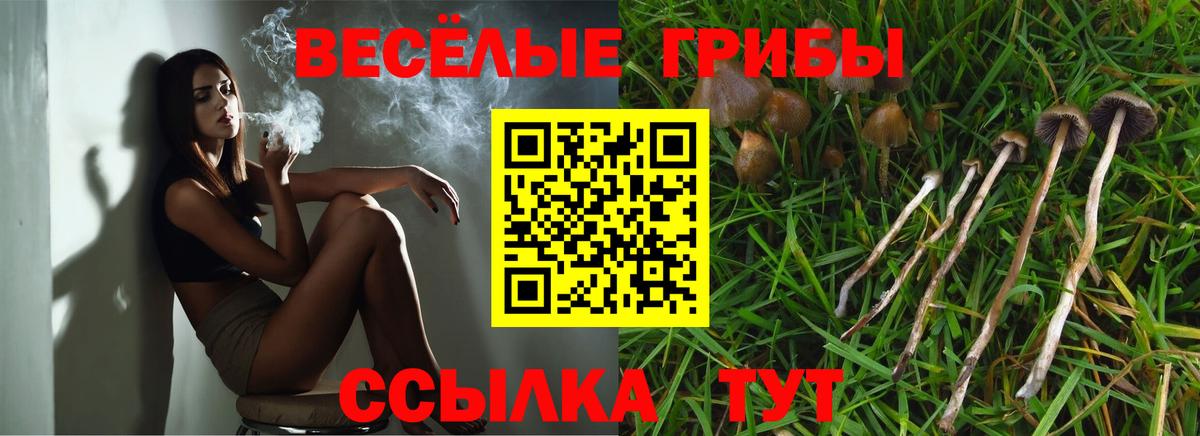 Псилоцибиновые грибы GOLDEN TEACHER  Псилоцибиновые грибы Psilocybine cubensis  Кинешма  Вход с VPN 